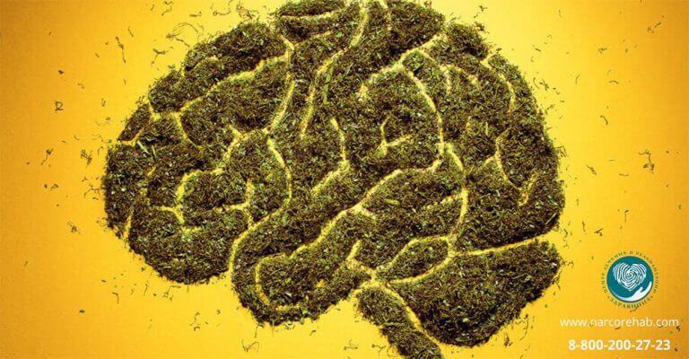 марихуаны на мозг