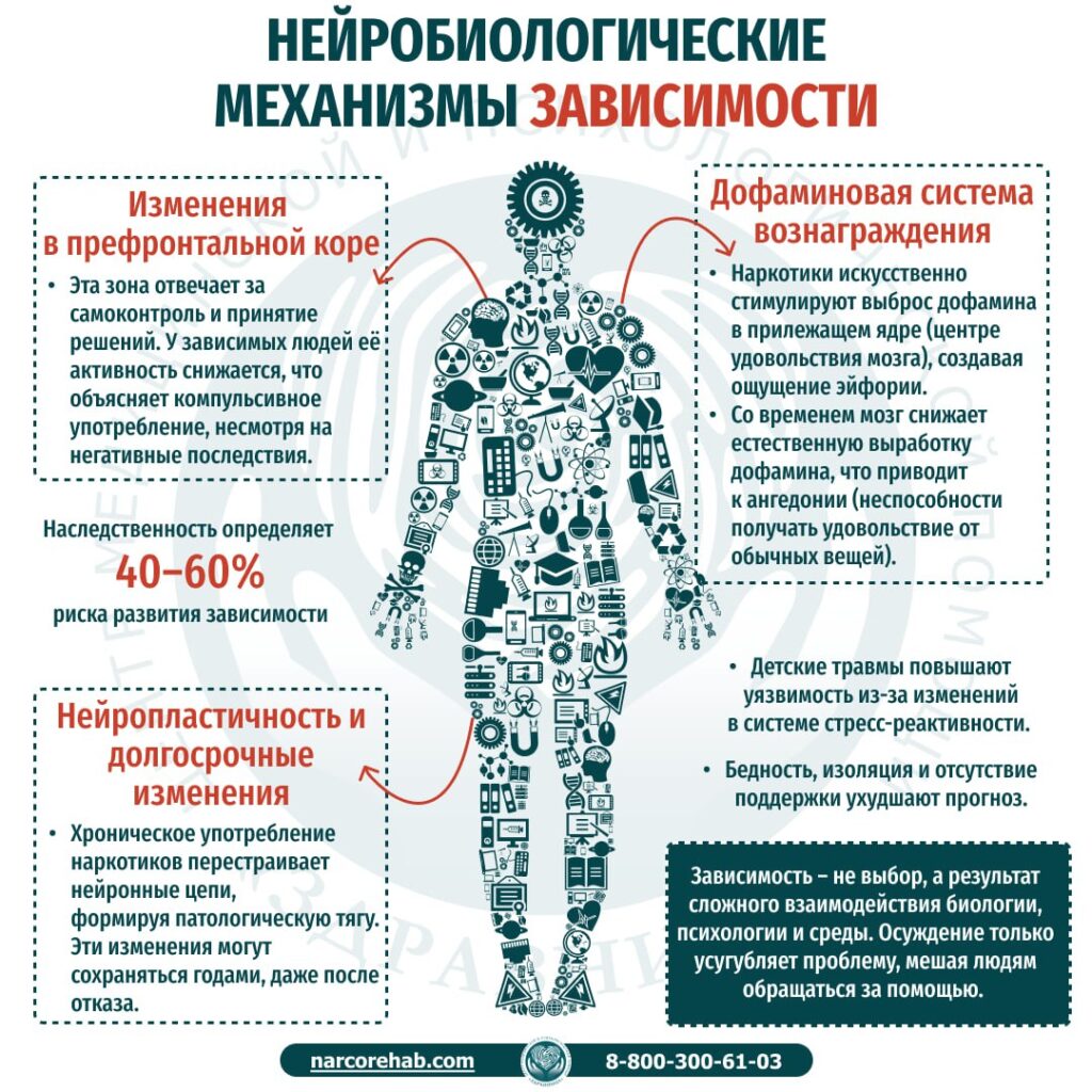 Баннер Механизмы зависимости