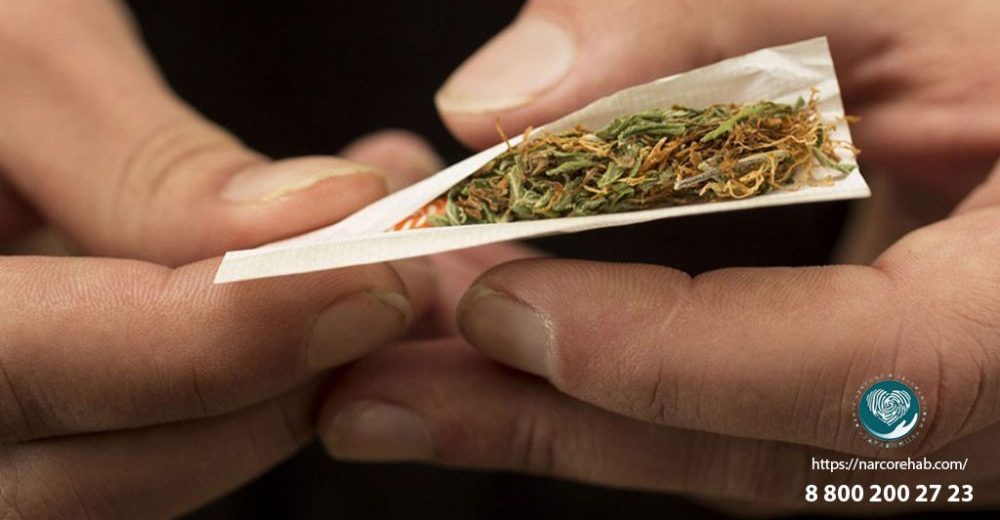 Наркотические средства спайсы марихуана из голландии фото