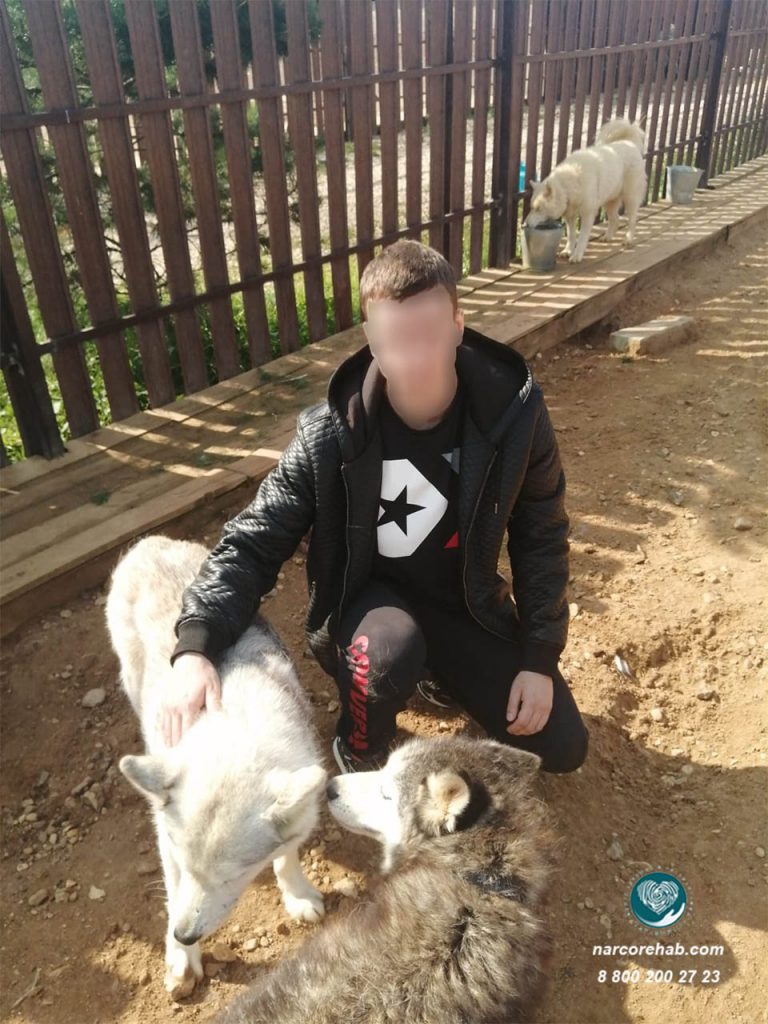 Поездка центра в хаскидеревню 3