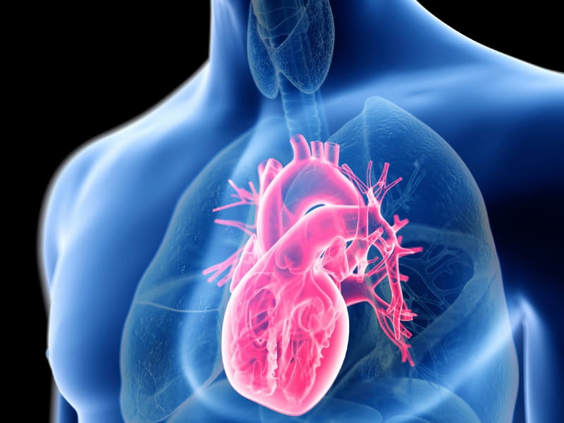 Влияние алкоголя на сердце человека - ГБУЗ АО Областной клинический противотуберкулезный диспансер
