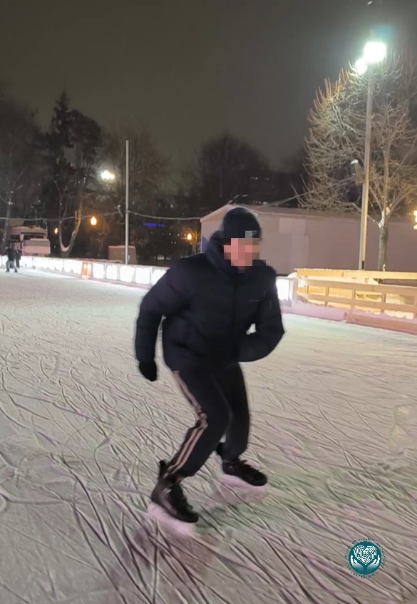 Зимой на коньках