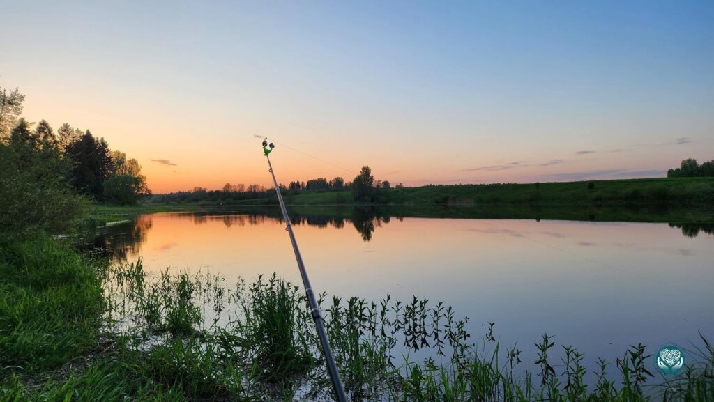 Рыбалка
