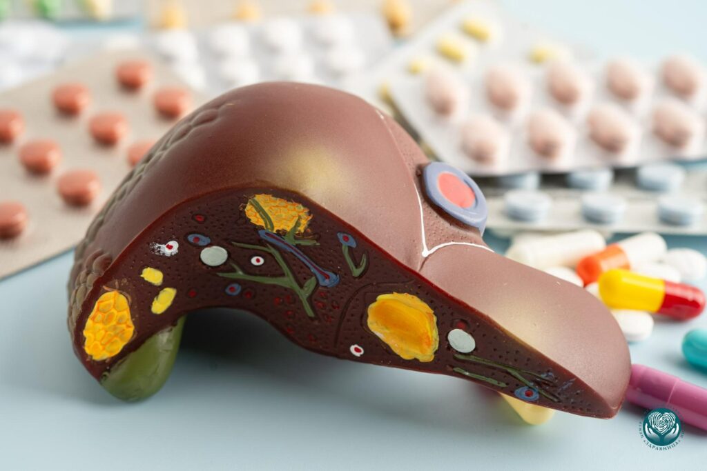 Влияние алкоголя на ферментные системы печени