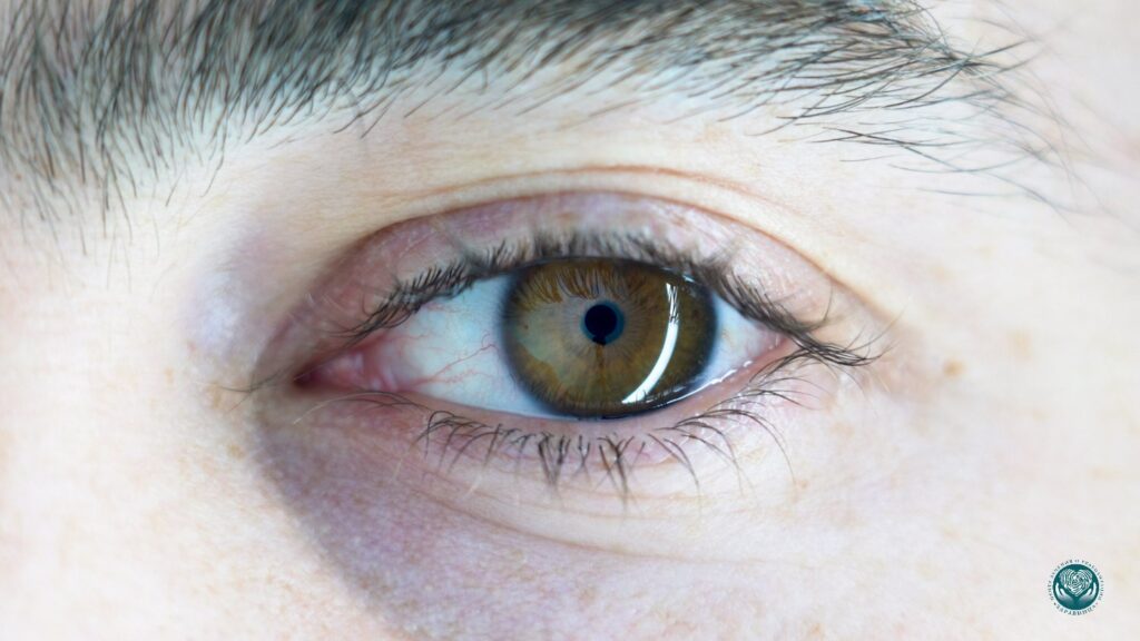 Миоз при опиоидной интоксикации - точечные зрачки и угнетение дыхания