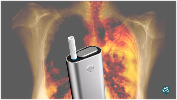 Как нагреваемый табак воздействует на лёгкие человека