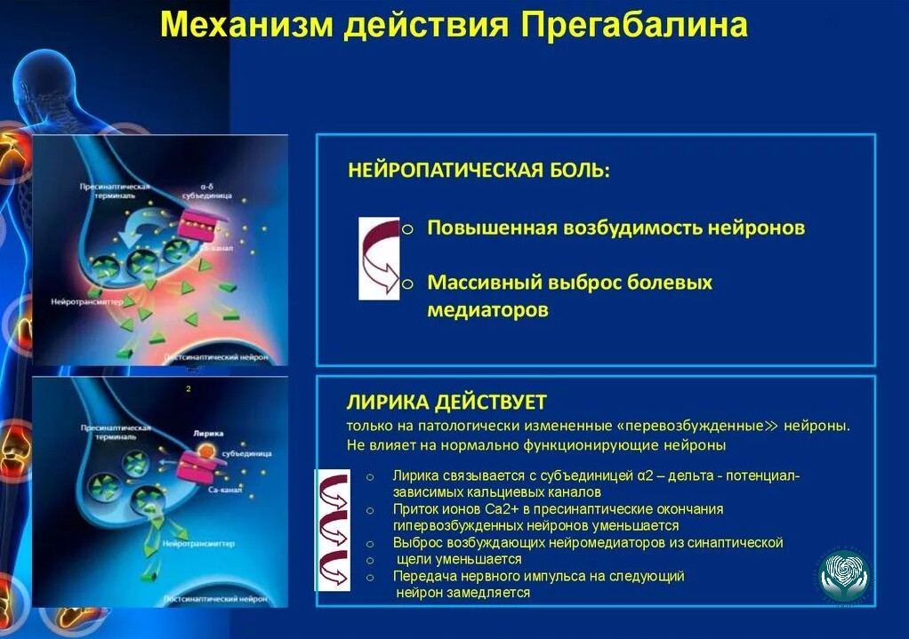 Схема работы прегабалина при нейропатической боли