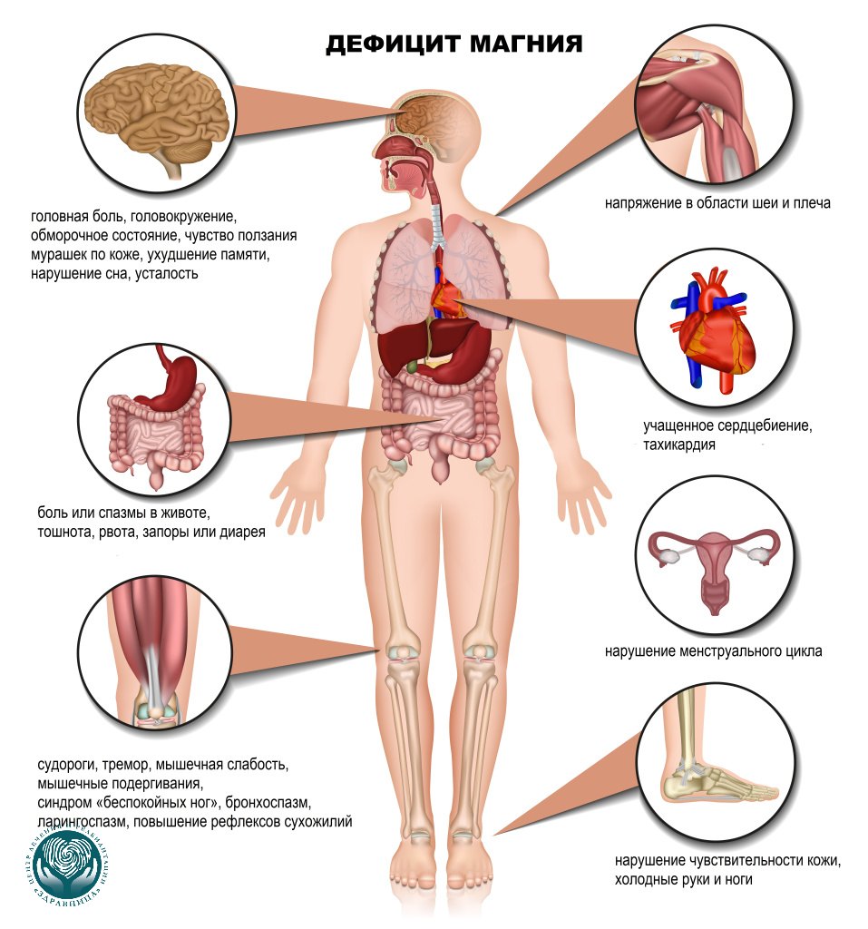 Дефицит магния при употреблении алкоголя: влияние на сердце и нервную систему
