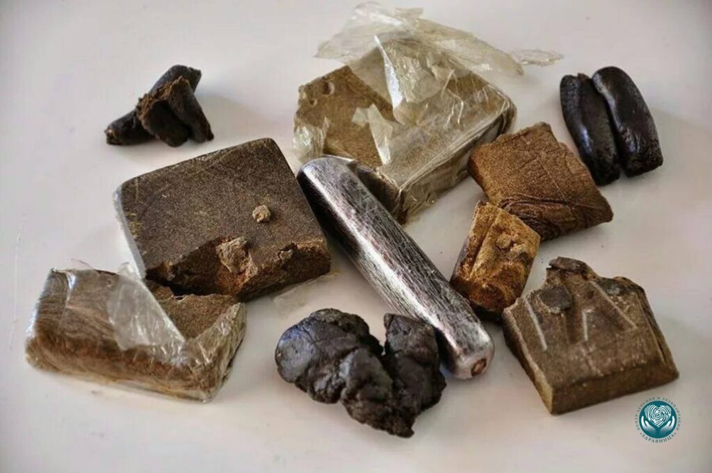 Путь гашиша и его метаболитов в организме