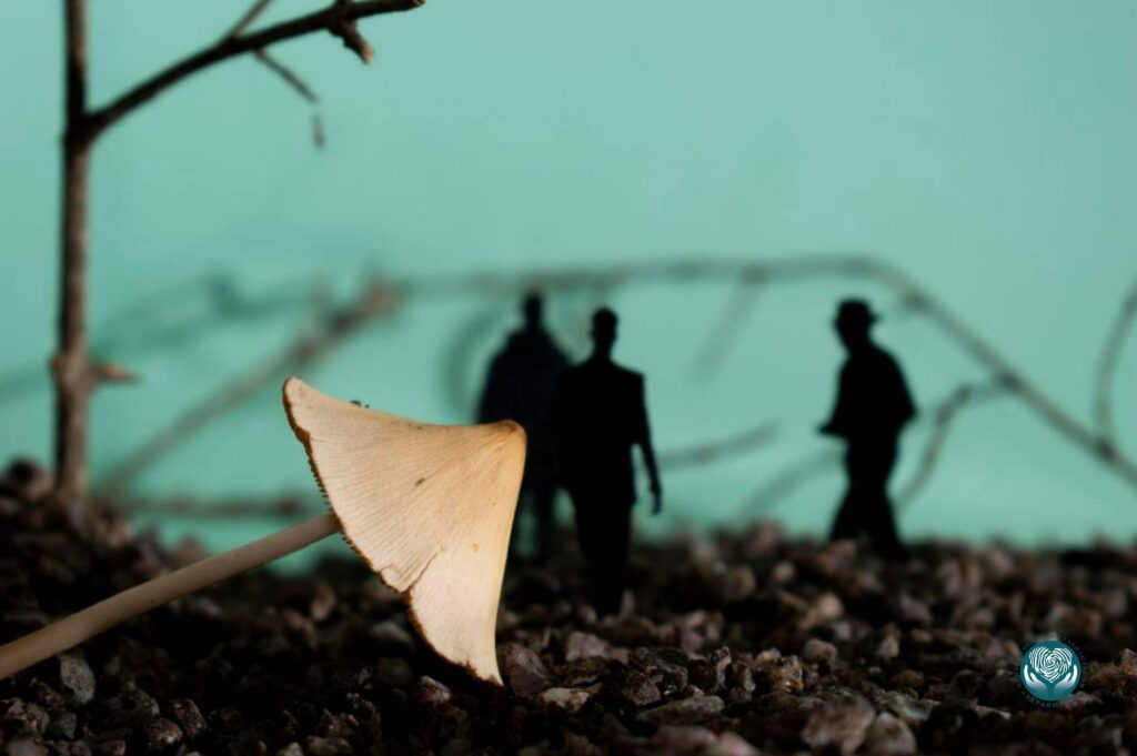 дромомания что такое